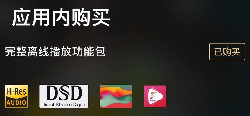 🎵 Ever Play - HiFi Music Player 白嫖正版订阅✈️ 下载TestFlight 
