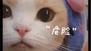 ▎ Vidhub 1.3.3之前的版本 先不要刷新媒体库哦，之前埋下的bug，昨天被引爆了，开发者已经紧急提交苹果审核了，期待明天修复