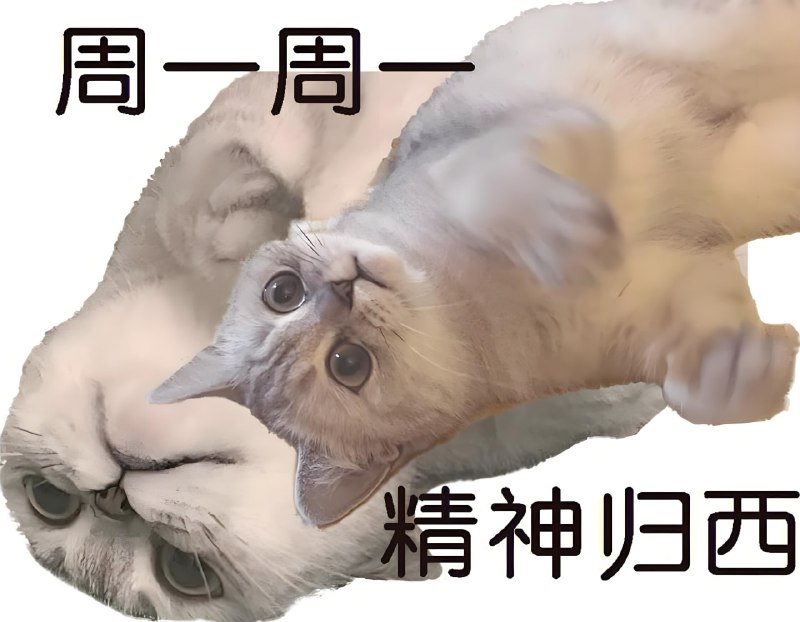 ▎ 啊！今天周一告诉我，为什么今天还是周一？🗒 标签: #整活📢 频道: @me888888888888🎈 群组：